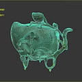 Traditional Decorative Bronze Teapot With Peach Shaped Lid Leaf Decorations Vine Design And Stand Base