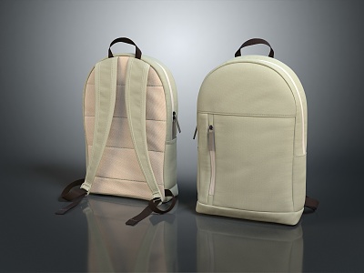 Modern Backpack Camping Backpack Travel Bag model