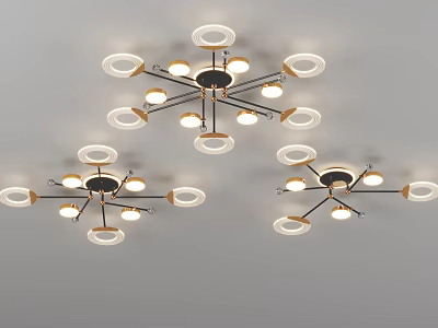 Modern Ceiling Lighting Fixtures With Circular Rings And Metal Structures 3d model