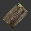 Natural Thatched House Model With Wooden Beams Mud Walls And Small Plants