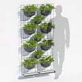 Bonsai Potted Plants on Metal Grid with Black Round Pots White Wall and Human Silhouette