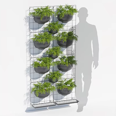 Bonsai Potted Plants on Metal Grid with Black Round Pots White Wall and Human Silhouette 3d model