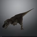 Tyrannosaurus Rex 3D Model With Open Mouth Sharp Teeth And Long Tail