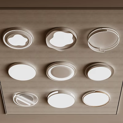 Modern Stylish Ceiling Lights With Various Unique And Round Designs For Home Interior 3d model