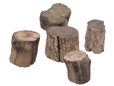 Natural Wooden Tree Stumps With Rustic Texture For Home Decor Projects 3d model