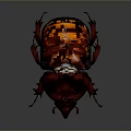 Red Beetle With Large Horned Head And Shiny Body On Dark Background