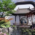 Rockery Stones In Traditional Chinese Garden With Pond Lotus Flowers And Pavilion