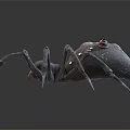 Mythical Character Giant Spider Creature With Black Exoskeleton Red Spots Sharp Legs Fierce Appearance