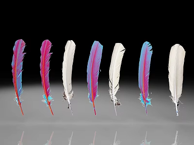 Colorful Feathers in Various Hues Arranged with Reflections on Black Background 3d model