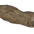 Modern Ginger 3d model