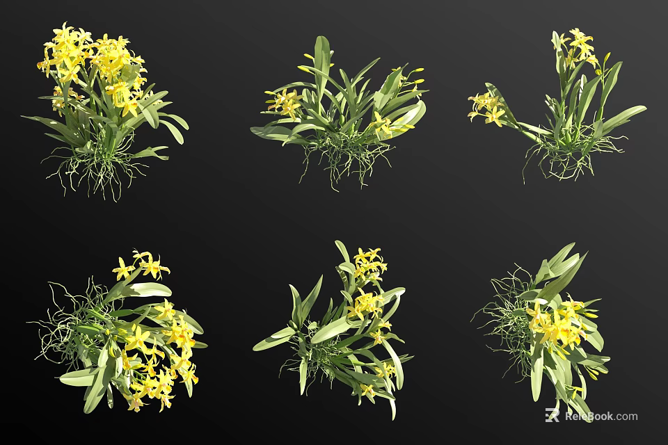 Multiple Views of Yellow Flowers with Green Leaves and Visible Roots on Black Background 3d model 
