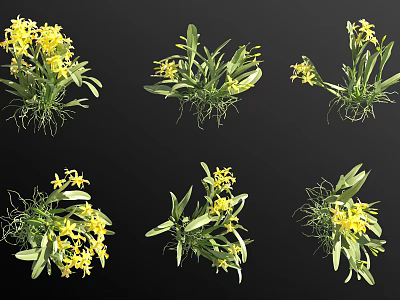 Multiple Views of Yellow Flowers with Green Leaves and Visible Roots on Black Background 3d model