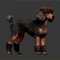 Detailed Brown Poodle Sculpture With Curly Fur And Standing Posture On Dark Background