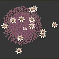 White Water Lilies With Pink Petals Floating On Pond Surface And Reflections