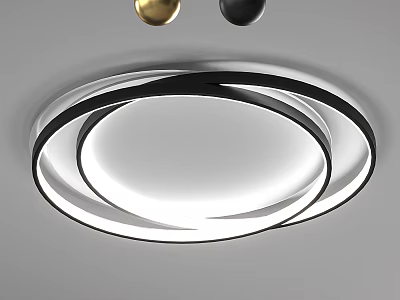 Modern Round Ceiling Light With Circular Black And White Rings Design 3d model