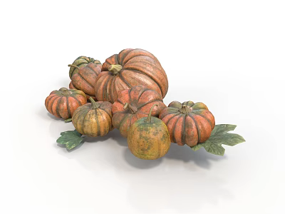 Striped And Solid Color Pumpkins With Various Sizes And Green Leaves 3d model