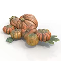Striped And Solid Color Pumpkins With Various Sizes And Green Leaves 3d model