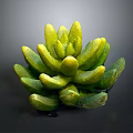 Succulent Plant With Green Yellow Plump Cluster Leaves On Dark Background