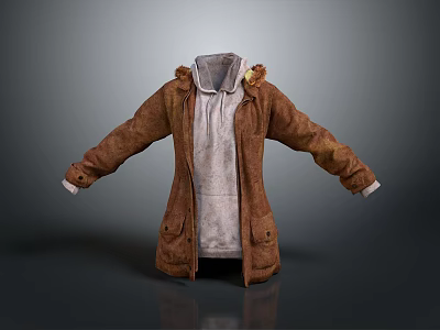 Brown Fashionable Long Sleeve Coat With Gray Hoodie For Casual Wear 3d model