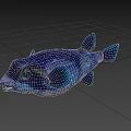 Vibrant Blue Purple Aquatic Pufferfish With White Spots Large Eyes And Dark Fins