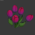 Blooming Purple and Pink Gradient Tulips with Fresh Green Leaves on Stems