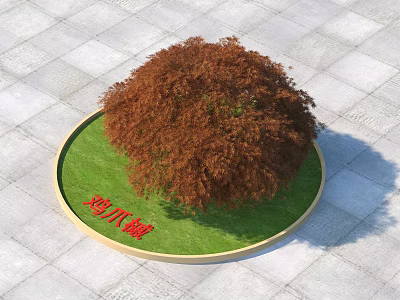 Japanese Maple Tree in Circular Green Grass Lawn on Gray Tiled Ground 3d model