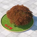Japanese Maple Tree in Circular Green Grass Lawn on Gray Tiled Ground