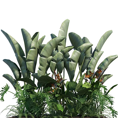 modern plants 3d model