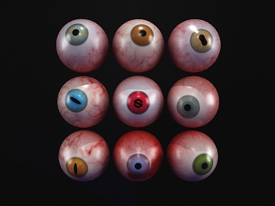 modern eyeball model