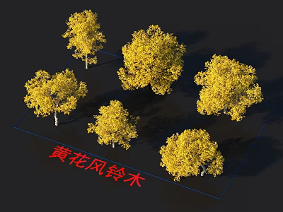 Vibrant Multiple Golden Trumpet Trees Showcasing Yellow Blossoms And Distinct Tree Structures 3d model
