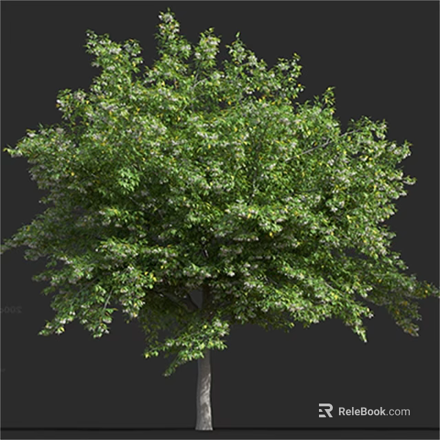 Lush Green Arbor With Dense Foliage And Tall Trunk In Natural Setting 3d model 