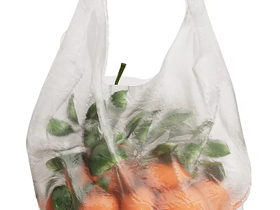 Fresh Ripe Oranges with Green Leaves Packed in Transparent Plastic Bag 3d model