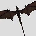 Mythical Flying Dragon with Majestic Spread Wings Soaring in Mid Air