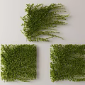 Modern Vine 3d model