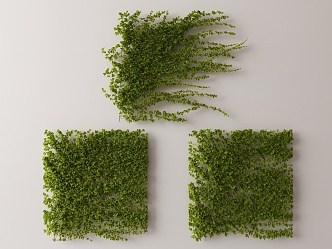 Modern Vine 3d model