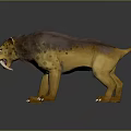 Realistic 3D Saber Toothed Tiger Model With Brown Fur Yellow Body And Long Fangs