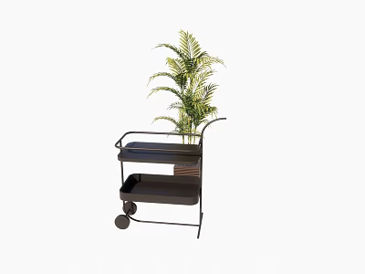 Commercial Utility Cart With Two Tier Shelves Mobile Wheels And Potted Plant 3d model