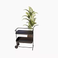 Commercial Utility Cart With Two Tier Shelves Mobile Wheels And Potted Plant