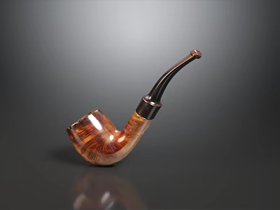 Elegant Tobacco and Liquor Store Featuring High Quality Handcrafted Smoking Pipe 3d model