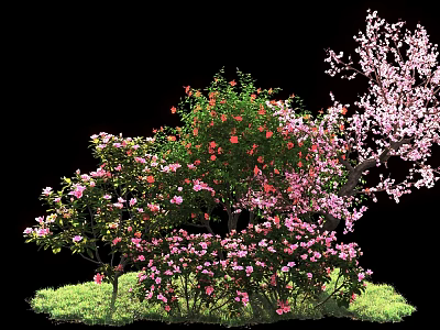 Lush Flowering Shrubs With Pink Red Flowers And Green Leaves Growing In Grass 3d model
