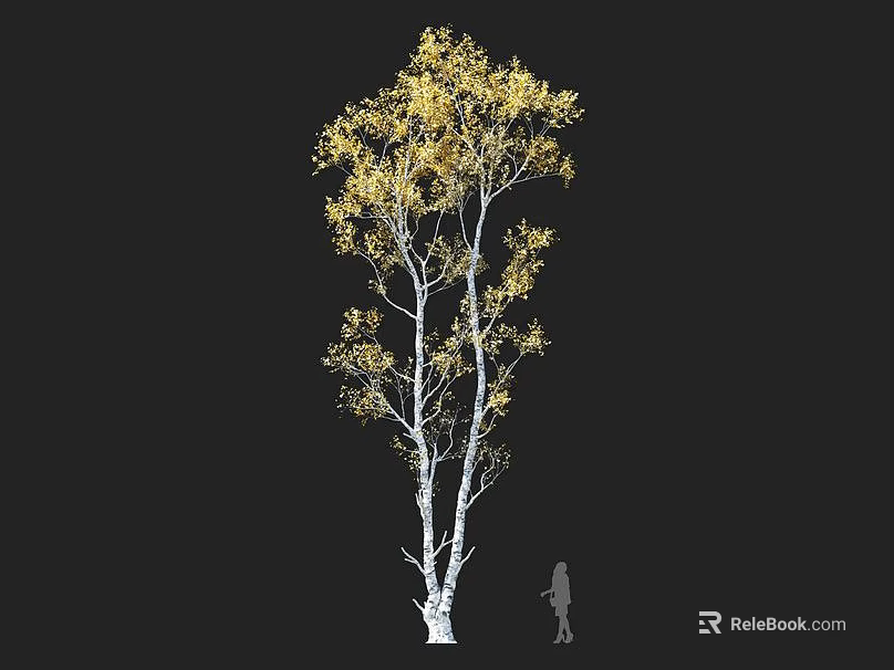 Arbor with White Trunk and Golden Leaves Featuring Human Silhouette for Scale 3d model 