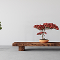 New Chinese Bonsai Bonsai Pine 3d model