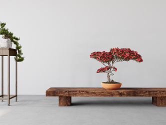 New Chinese Bonsai Pine 3d model