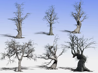 Leafless Arbor Trees with Various Shapes Against Blue Sky and Casting Shadows 3d model