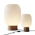 Two Modern Table Lamps With White Frosted Shades And Wooden Bases
