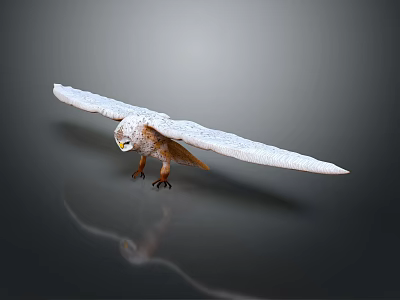 Snowy Owl With Spread White Wings Brown Body Yellow Eyes And Talons On Reflective Surface 3d model