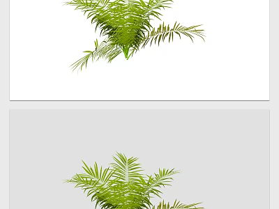 Fresh Green Foliage With Lush Leaves For Indoor Decoration And Home Design 3d model