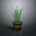 Green Plant with Slender Green Leaves in Black Bucket Featuring Yellow Stripes against Gray Background
