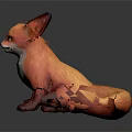 Cute Orange Fox Character Sitting With White Belly Large Ears And Yellow Eyes