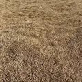 Dry Grass Garden Ornament With Natural Brown Turf And Textured Withered Landscape